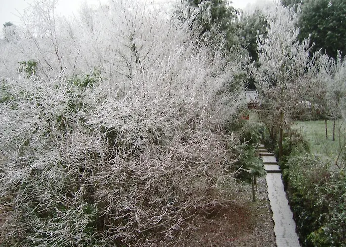 Independant Proche Centre בקתה לה מאנש